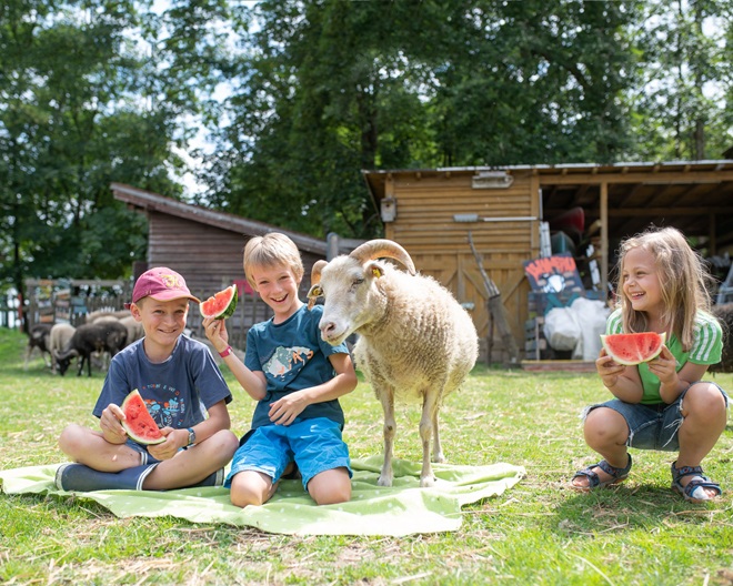 Abwechslungsreicher Kindergeburtstag: Jugendhaus Lehmbau Augsburg