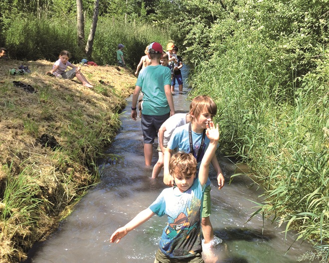 Naturnaher Kindergeburtstag: Naturdings-Agentur Augsburg
