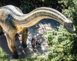Kindergeburtstag zwischen T-Rex & Co: Dinosaurier Museum Altmühltal
