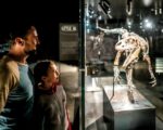 Kindergeburtstag zwischen T-Rex & Co: Dinosaurier Museum Altmühltal