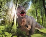 Kindergeburtstag zwischen T-Rex & Co: Dinosaurier Museum Altmühltal