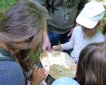 Spannender Kindergeburtstag: Naturhelden Augsburg