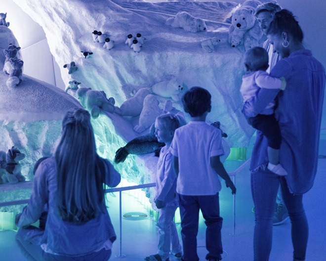 Bärenstarker Kindergeburtstag: Steiff-Museum Giengen