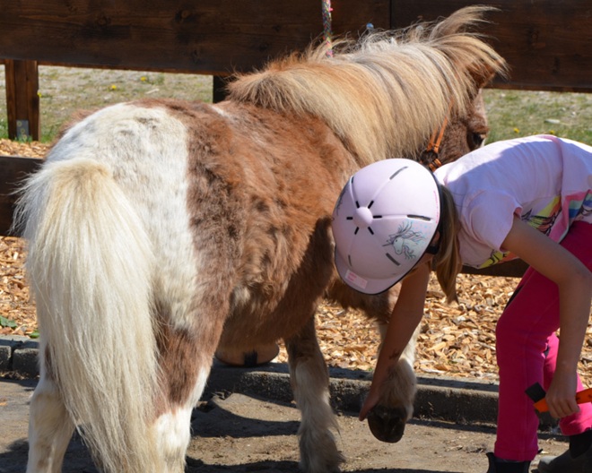 Kindergeburtstag mit Tieren: Reit- und Wildpark Weil