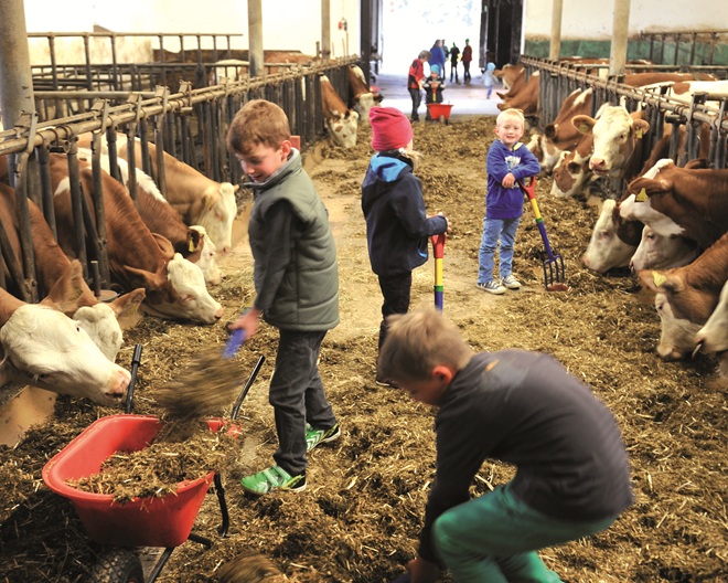 Kindergeburtstag auf dem Mitmach-Bauernhof: Beim Hibsch Hollenbach