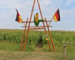 Kindergeburtstag im Irrgarten: Maislabyrinth Radersdorf