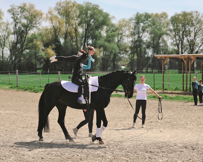 Voltigieren beim Augsburger Pferdesportverein e.V.