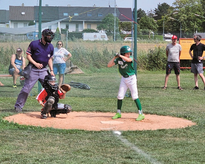 Baseball bei den Augsburg Gators